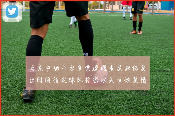 马竞中场卡尔多索遭遇重度扭伤复出时间待定球队将密切关注恢复情况